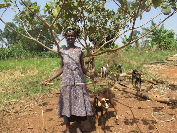 Ezekia with her goats